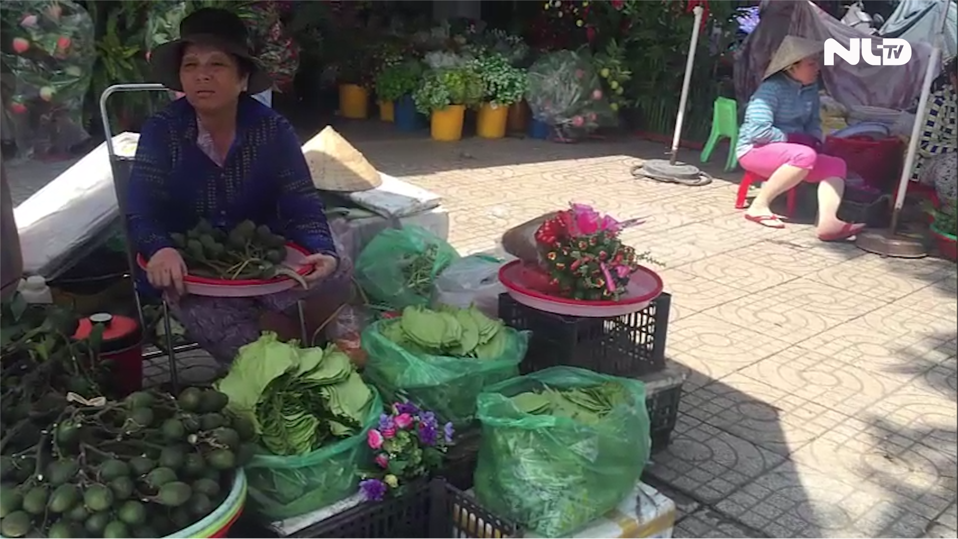 Con đường trầu cau giữa lòng TP HCM