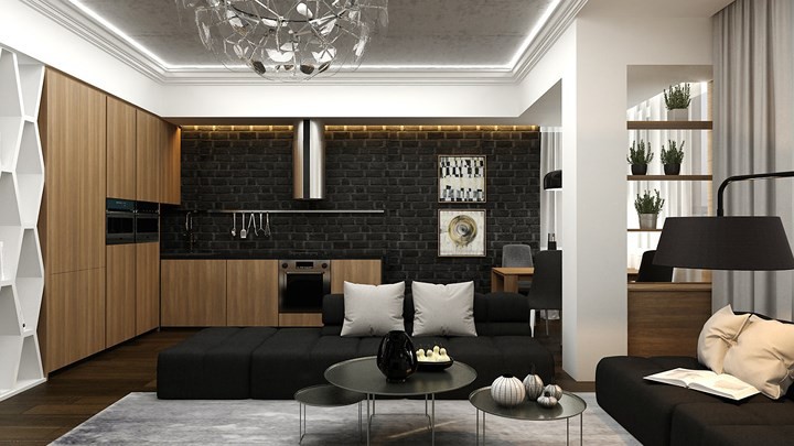Căn hộ phong c&aacute;ch với m&agrave;u đen, trắng v&agrave; n&acirc;u gỗ - Ảnh 2.