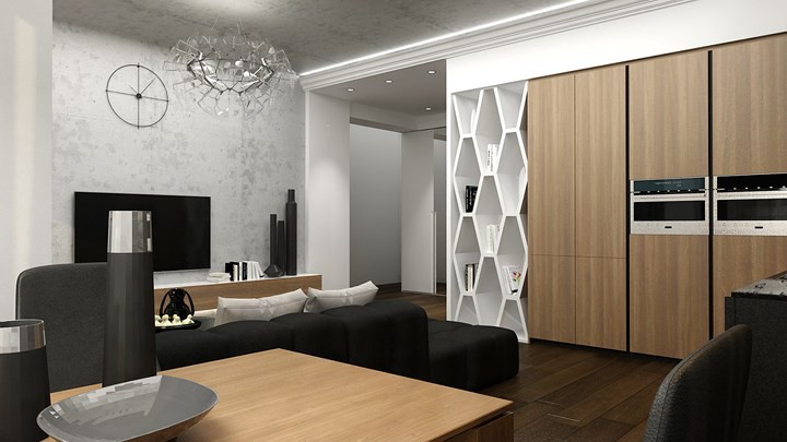 Căn hộ phong c&aacute;ch với m&agrave;u đen, trắng v&agrave; n&acirc;u gỗ - Ảnh 3.