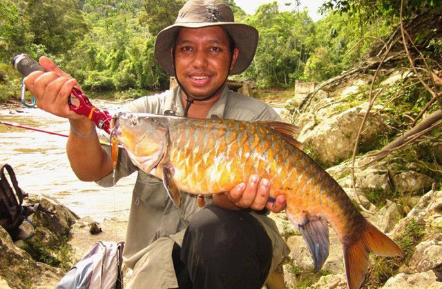 Quý như vàng, đặc sản cá "vong bất liễu ngư" được đại gia săn lùng