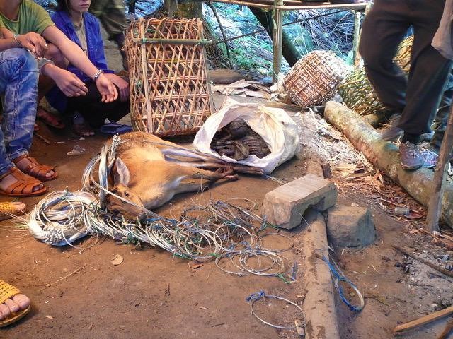 Mảng tối thịt rừng bị lộ khi nh&agrave; b&aacute;o in &ldquo;danh thiếp&rdquo; v&agrave;o vai đại gia  - Ảnh 6.