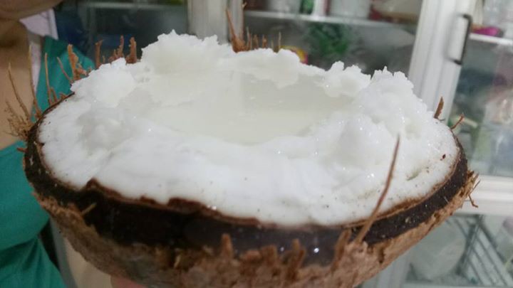 Dừa sáp 250.000 đồng/quả, nông dân rủ nhau mua dừa giống về trồng