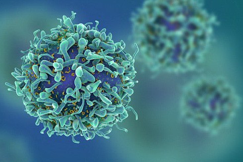 Thuốc chữa dứt HIV sắp ra đời?