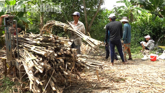 Ứa nước mắt với h&igrave;nh ảnh n&ocirc;ng d&acirc;n trồng m&iacute;a trắng tay v&igrave; lũ - Ảnh 8.