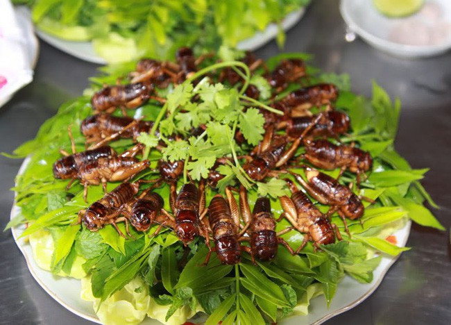 Dế chiên nước mắm ở Long Khánh ăn là ghiền