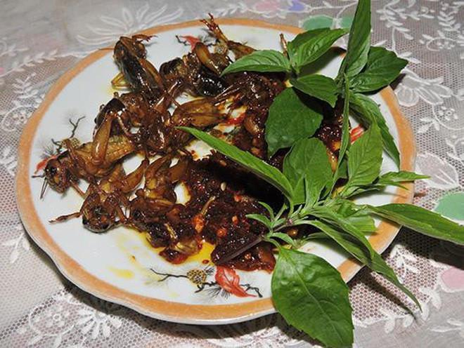Dế chiên nước mắm ở Long Khánh ăn là ghiền - Ảnh 4.