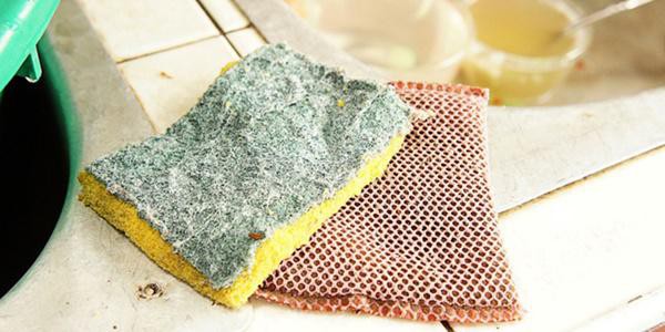 8 m&oacute;n đồ cũ buộc phải vứt kẻo rước bệnh v&agrave;o nh&agrave; - Ảnh 5.