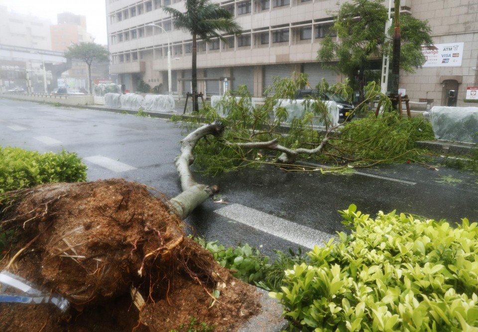 Chưa hồi phục sau bão Jebi, Nhật Bản lại hứng bão Trami