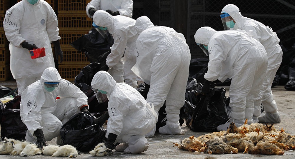 Trung Quốc gây lo ngại về dịch H7N9