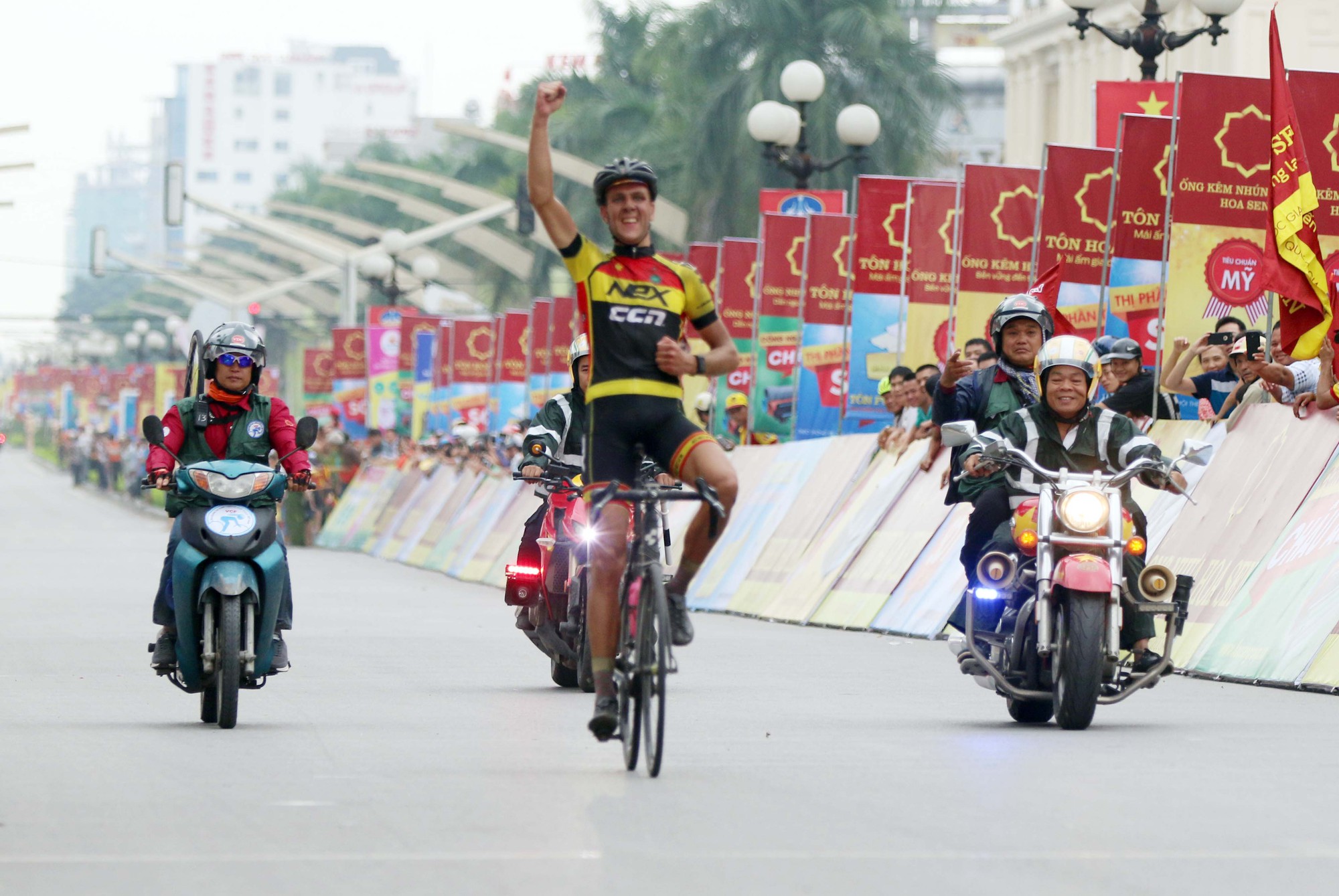 Van der Pijl xé áo vàng