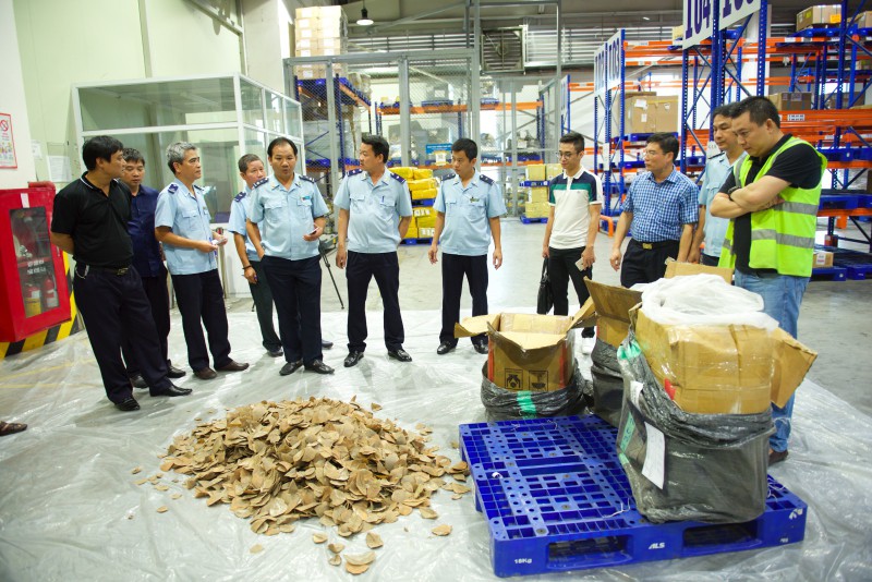 2 c&ocirc;ng ty đứng t&ecirc;n từ chối nhận gần 1 tấn ng&agrave; voi, vảy t&ecirc; t&ecirc; bị bắt ở Nội B&agrave;i - Ảnh 3.