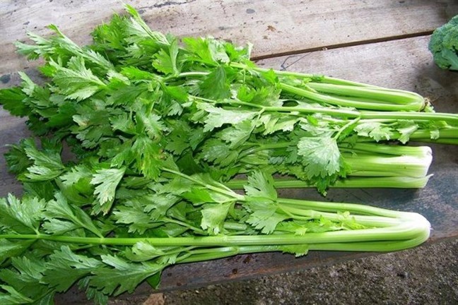 Nước tiểu c&oacute; bọt như x&agrave; ph&ograve;ng nguy hiểm kh&ocirc;ng? - Ảnh 2.