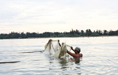Đua nhau săn con cá "nhỏ nhưng độc" ở  đầm Chuồn