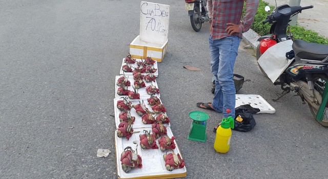 Cua biển 70.000 đồng/con, d&acirc;n sợ kh&ocirc;ng d&aacute;m mua - Ảnh 1.