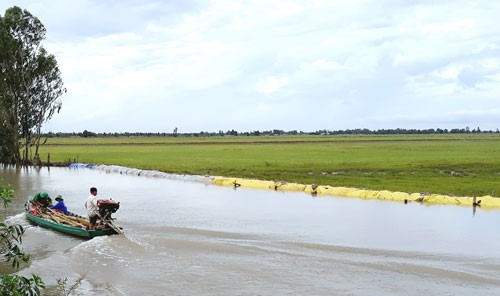 Nông dân ĐBSCL trắng đêm lo vỡ đê