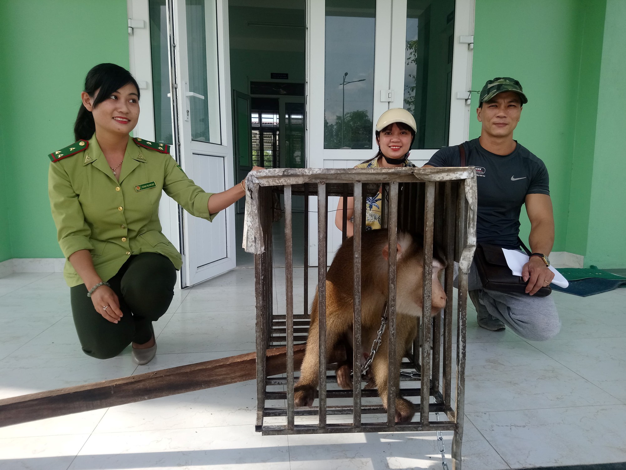 Nhóm thanh niên góp tiền giải cứu cá thể khỉ quý hiếm