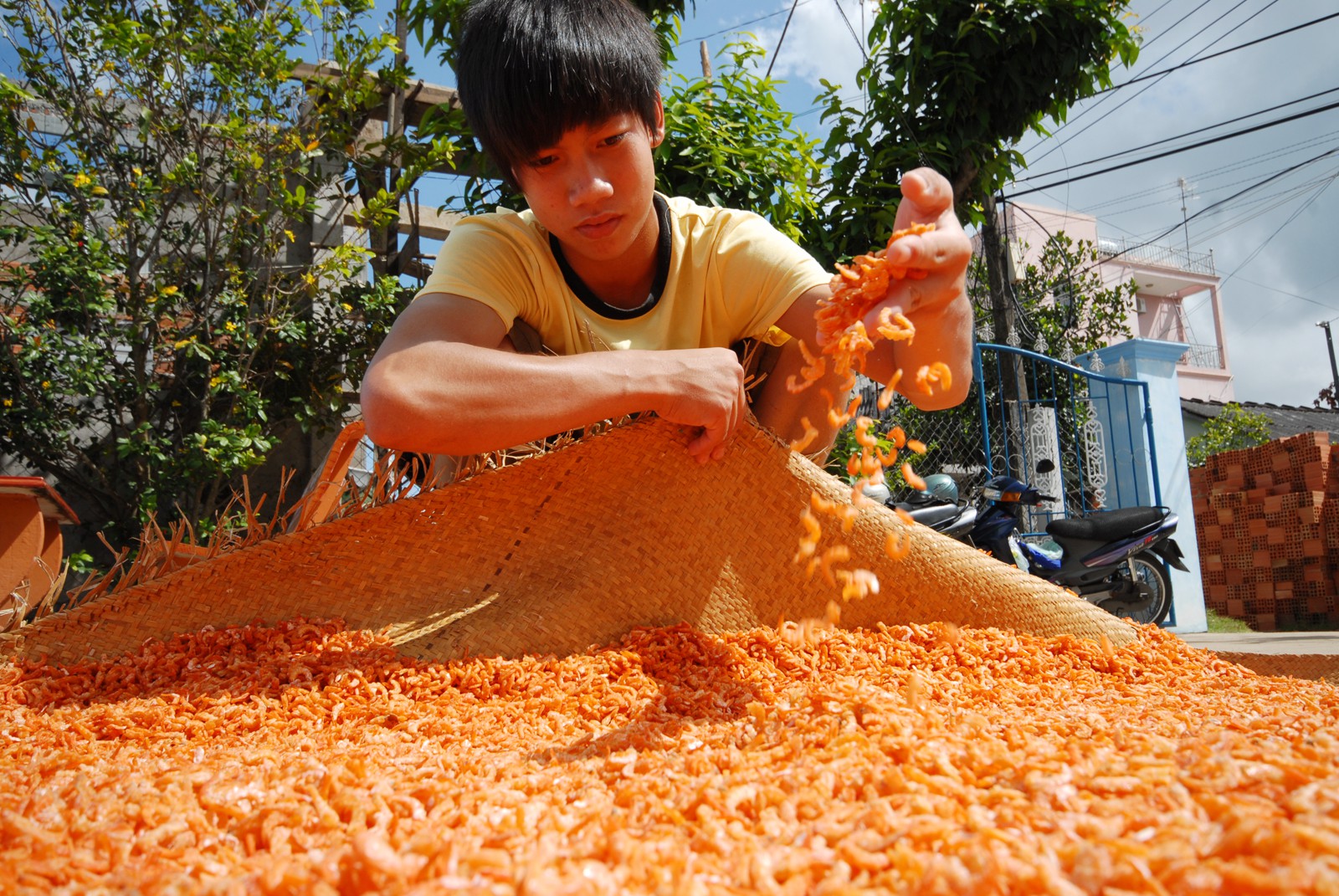 Làng nghề tất bật đón Tết