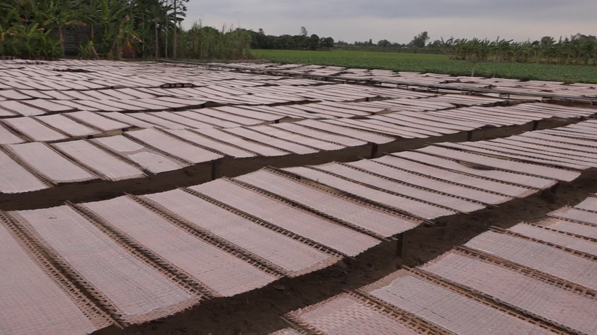 Bí quyết của làng nghề bánh tráng trăm năm phục vụ Tết - Ảnh 8.