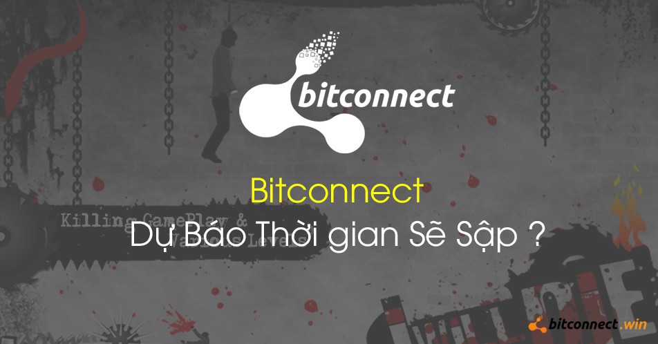 Dân chơi tiền ảo mất hàng trăm triệu đồng sau một đêm vì Bitconnect