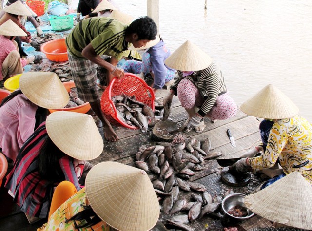 Trở lại v&ugrave;ng đặc sản kh&ocirc; bổi C&agrave; Mau - Ảnh 2.