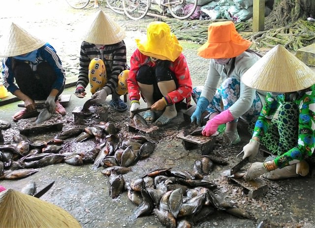 Trở lại v&ugrave;ng đặc sản kh&ocirc; bổi C&agrave; Mau - Ảnh 3.