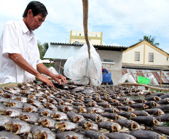 Trở lại v&ugrave;ng đặc sản kh&ocirc; bổi C&agrave; Mau - Ảnh 6.