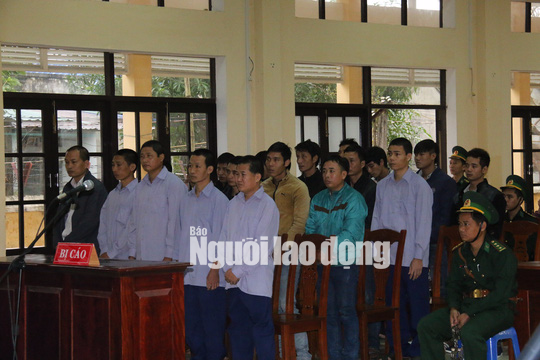 Vụ phá rừng pơ mu: Cựu phó Đồn Biên phòng cửa khẩu Nam Giang hầu tòa