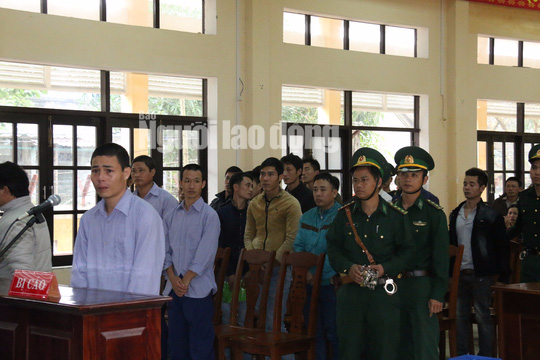 Ph&aacute; rừng l&agrave;m qu&agrave; biếu, ph&oacute; đồn bi&ecirc;n ph&ograve;ng bị đề nghị 30-42 th&aacute;ng t&ugrave; - Ảnh 2.