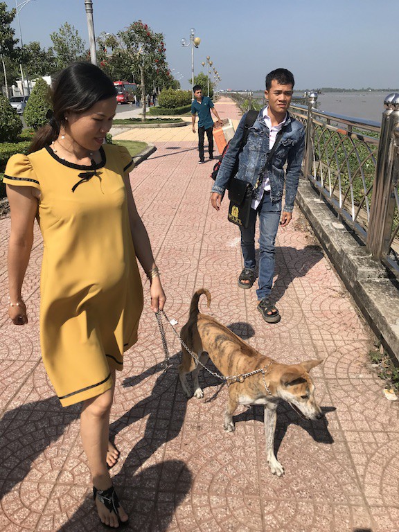 Ngắm dàn chó đắt tiền từ khắp nơi về miền Tây thi chó đẹp - Ảnh 16.
