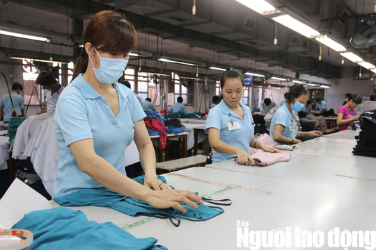 Ai phải đóng bảo hiểm tai nạn lao động, bệnh nghề nghiệp?