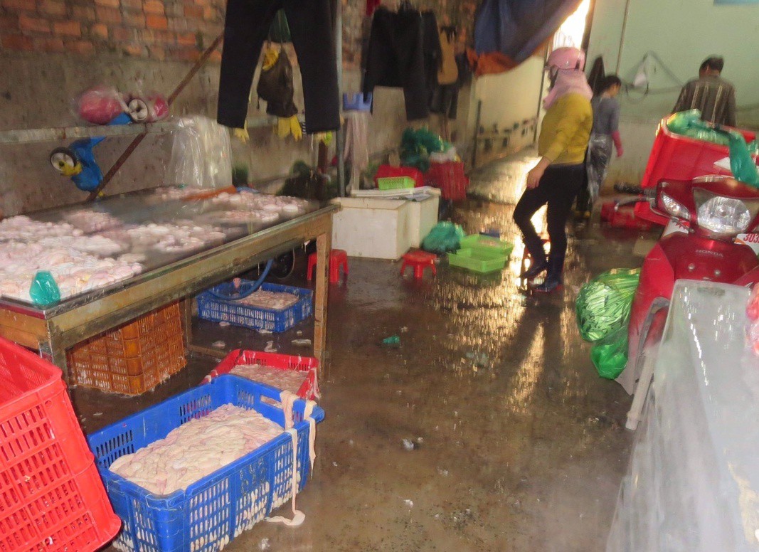 Dùng oxy già để tẩy trắng lòng heo