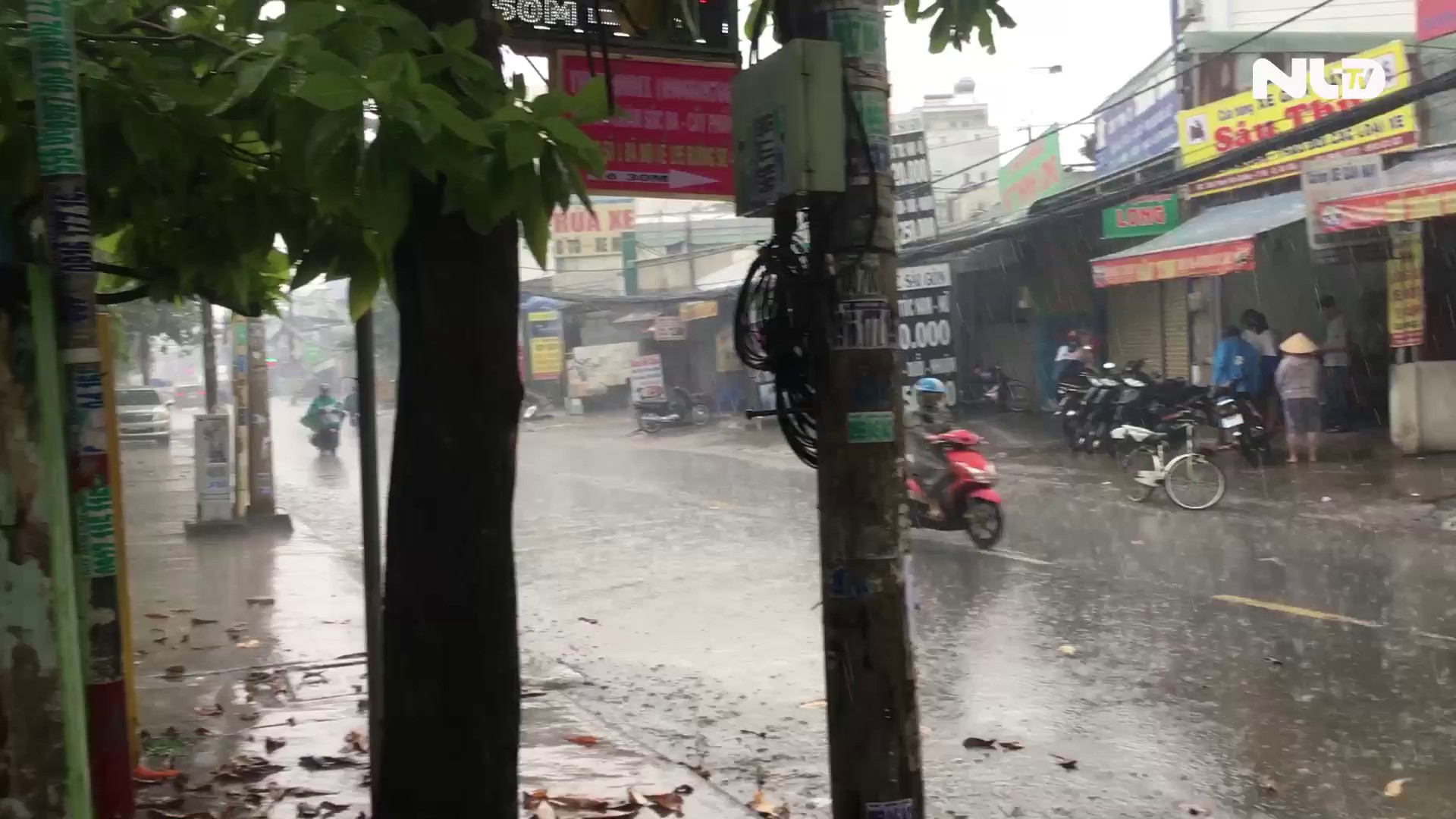 TP HCM, Nam bộ vẫn còn mưa trái mùa đến Tết Mậu Tuất