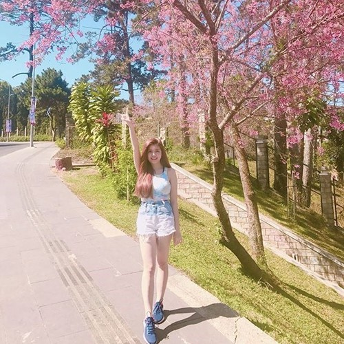 Cận Tết Mậu Tuất, giới trẻ c&oacute; hẹn với mai anh đ&agrave;o Đ&agrave; Lạt - Ảnh 2.