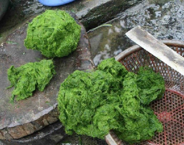 Những đặc sản có công dụng “trường thọ” ở Việt Nam