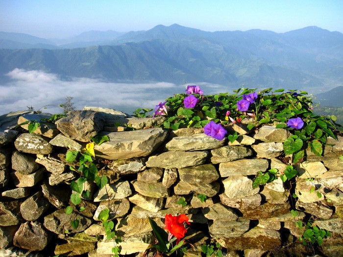 Đến Sarangkot ngắm b&igrave;nh minh tr&ecirc;n d&atilde;y Himalaya - Ảnh 1.
