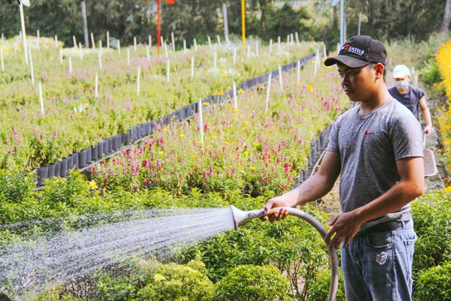 Không thể tin nổi giữa Sài Gòn có cánh đồng hoa đẹp đến thế! - Ảnh 2.