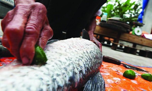L&agrave;ng Vũ &ETH;ại v&agrave;o m&ugrave;a kho c&aacute; - Ảnh 2.