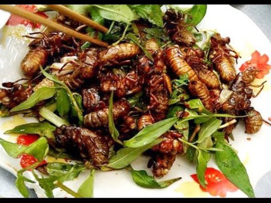 4 đặc sản kinh dị &ldquo;đ&atilde;i kh&aacute;ch qu&yacute;&rdquo; ở v&ugrave;ng cao Nghệ An - Ảnh 3.
