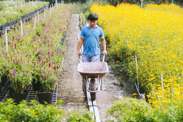 Không thể tin nổi giữa Sài Gòn có cánh đồng hoa đẹp đến thế! - Ảnh 3.
