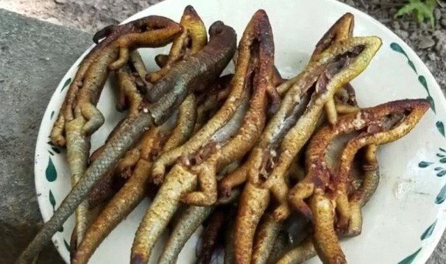 4 đặc sản kinh dị &ldquo;đ&atilde;i kh&aacute;ch qu&yacute;&rdquo; ở v&ugrave;ng cao Nghệ An - Ảnh 4.