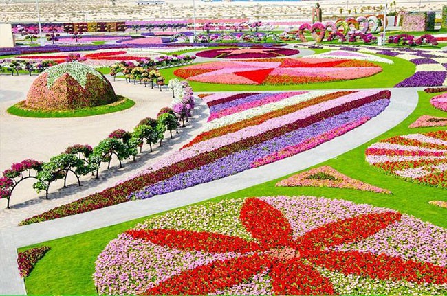 Những vườn hoa đầy mê hoặc ai cũng thích - Ảnh 4.