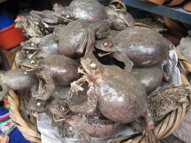 Bí ẩn trong khu chợ bùa ngải ma thuật lớn nhất thế giới - Ảnh 5.