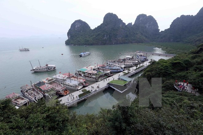 Ngắm Vịnh Hạ Long qua ảnh - Ảnh 6.