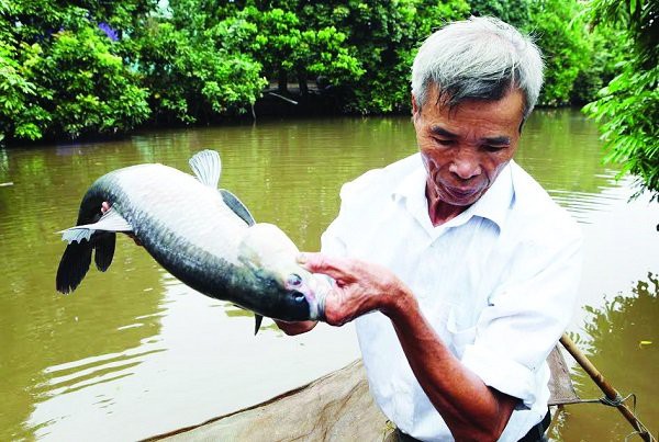 L&agrave;ng Vũ &ETH;ại v&agrave;o m&ugrave;a kho c&aacute; - Ảnh 6.