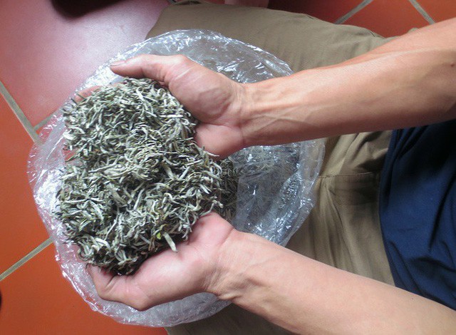 “Săn” đặt sản quí hiếm dịp Tết
