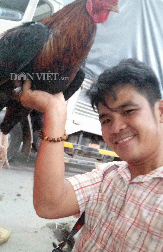 Độc kê 10 cựa và những quái gà siêu lạ gây xôn xao - Ảnh 7.