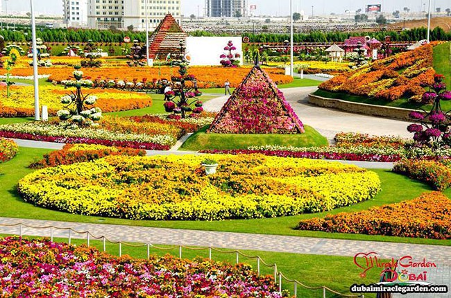 Những vườn hoa đầy mê hoặc ai cũng thích - Ảnh 7.