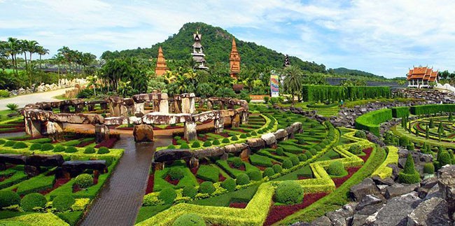 Những vườn hoa đầy mê hoặc ai cũng thích - Ảnh 10.