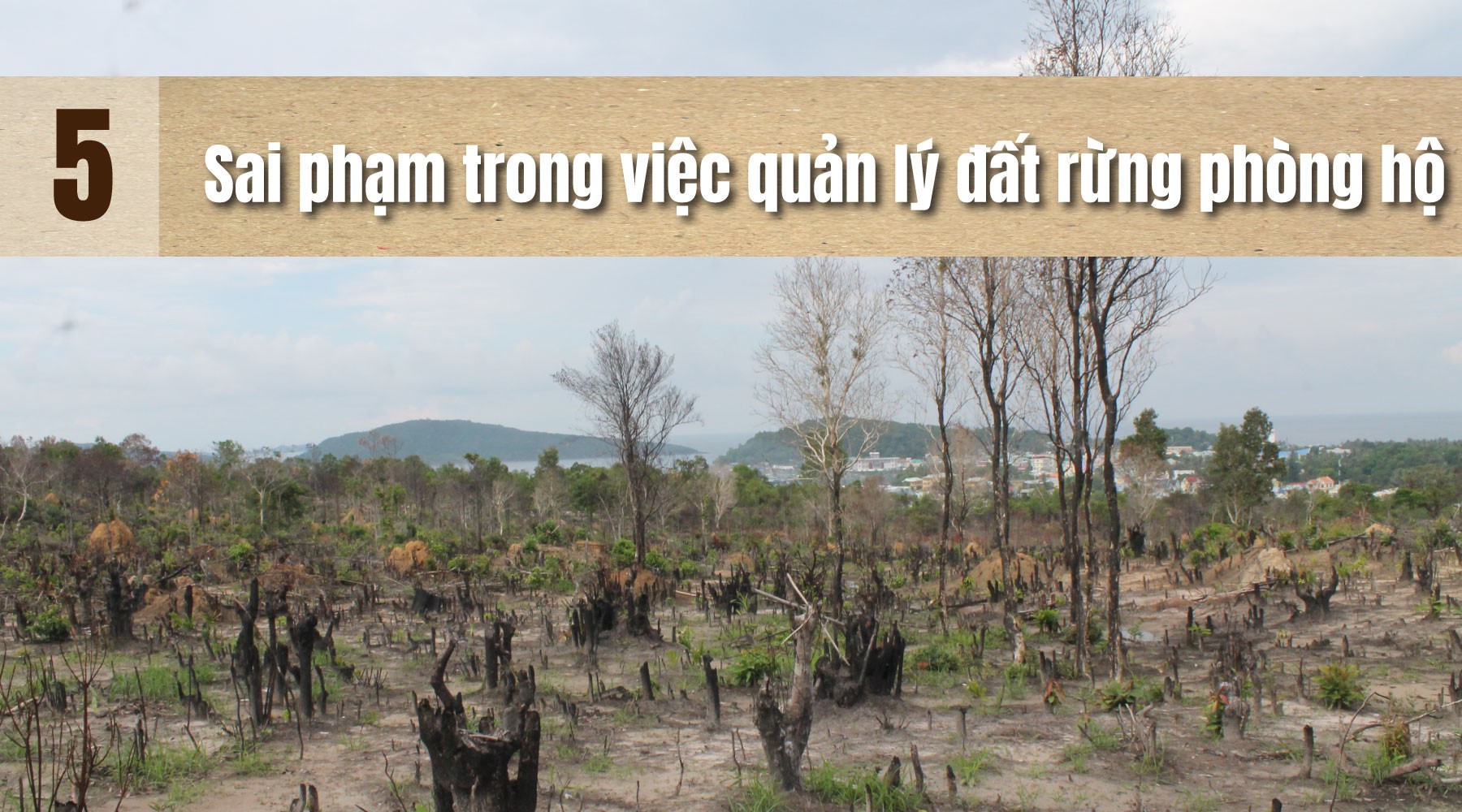 (eMagazine) - Một năm nhiều biến động ở Phú Quốc - Ảnh 12.