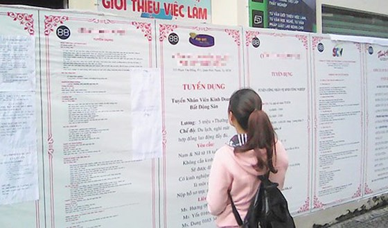 Mồi nhử việc nhẹ, lương cao